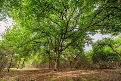 00 County Road 284, Liberty Hill, TX 78642 - Photo 7