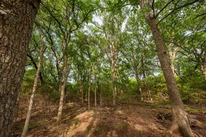 00 County Road 284, Liberty Hill, TX 78642 - Photo 15