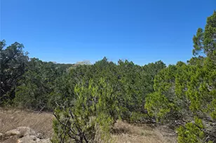 358 Balcones Ridgeway Way, Bertram, TX 78605 - Photo 9