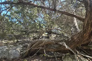 358 Balcones Ridgeway Way, Bertram, TX 78605 - Photo 13