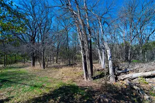 2704 Catalina Dr, Austin, TX 78741 - Photo 39