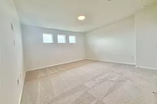 389 Young St, Buda, TX 78610 - Photo 13