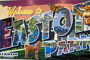 8513 Dongan Dr, Austin, TX 78744 - Photo 11