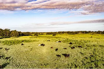 2993 County Road 320, Lexington, TX 78947 - Photo 15