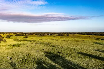 2993 County Road 320, Lexington, TX 78947 - Photo 1