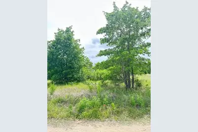 138 Wild Bird Loop, Smithville, TX 78957 - Photo 3