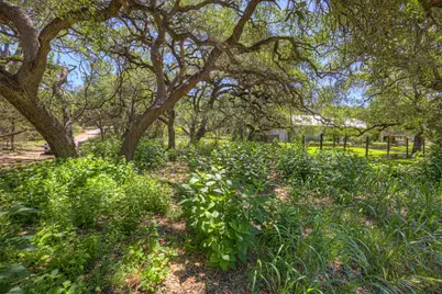 130 Lazy Leaf, Wimberley, TX 78676 - Photo 3