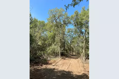 Lot 29D Mesquite Drive, Cedar Creek, TX 78612 - Photo 11