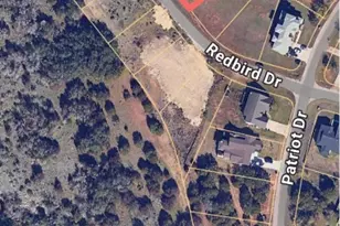 22006 Redbird Dr, Lago Vista, TX 78645 - Photo 1