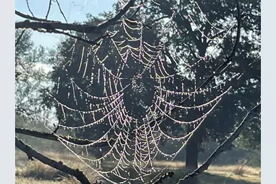 3000 Pettytown Road, Dale, TX 78616 - Photo 33