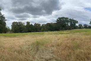 3000 Pettytown Rd, Dale, TX 78616 - Photo 1