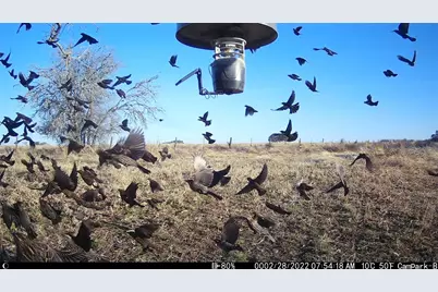 3000 Pettytown Road, Dale, TX 78616 - Photo 31