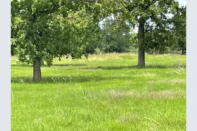 3000 Pettytown Road, Dale, TX 78616 - Photo 5