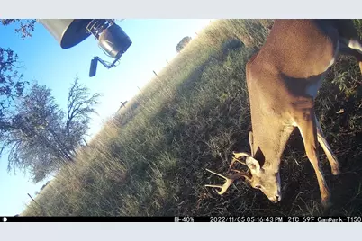 3000 Pettytown Road, Dale, TX 78616 - Photo 23