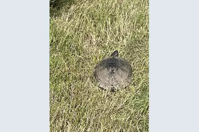 3000 Pettytown Road, Dale, TX 78616 - Photo 27