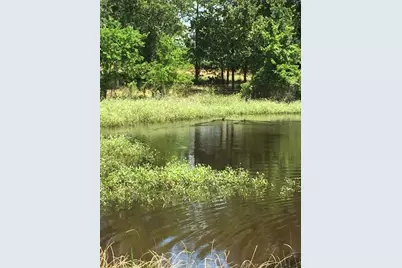 3000 Pettytown Road, Dale, TX 78616 - Photo 11