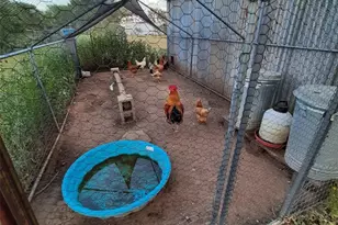 3160 Pettytown Rd, Dale, TX 78616 - Photo 5