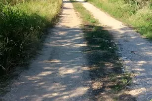 3160 Pettytown Rd, Dale, TX 78616 - Photo 23