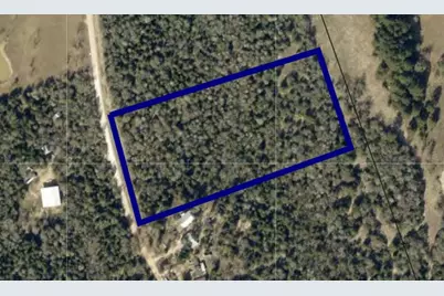 Tbd County Road 337, Lexington, TX 78947 - Photo 5