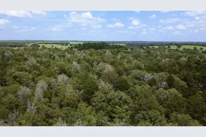 Tbd County Road 337, Lexington, TX 78947 - Photo 1
