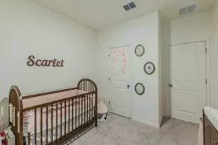 209 Dirty Harry Dr, Jarrell, TX 76537 - Photo 17