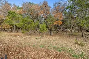 3948 Sapphire Loop, Round Rock, TX 78681 - Photo 39