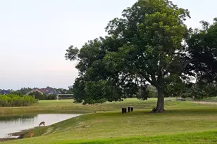 629 Rocky Spot Dr, Austin, TX 78737 - Photo 27