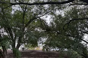 [Address not provided], Austin, TX 78744 - Photo 3