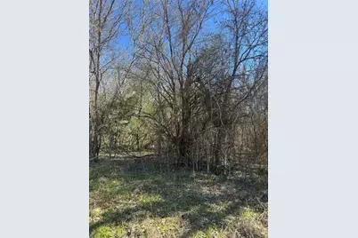 Lots 320 and 321 Kolekole Lane, Bastrop, TX 78602 - Photo 5