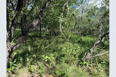 232 Mokulua Lane, Bastrop, TX 78602 - Photo 3