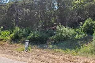 36141 & 36149 Kaelepulu Dr, Bastrop, TX 78602 - Photo 1