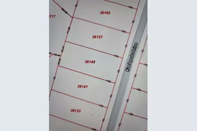 36141 & 36149 Kaelepulu Drive, Bastrop, TX 78602 - Photo 3