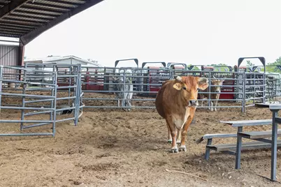 8519 State Park Road, Lockhart, TX 78644 - Photo 9