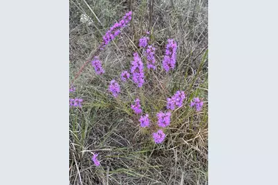 284 Cedar Mountain Drive, Spicewood, TX 78654 - Photo 3