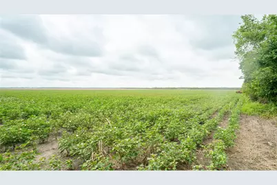 Tbd Cr 240, Cameron, TX 76520 - Photo 17