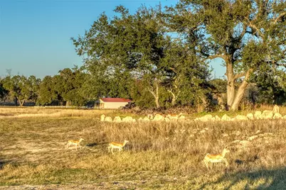 137 Falling Oak Drive, Blanco, TX 78606 - Photo 7