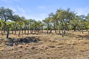 2801 Martin Rd, Dripping Springs, TX 78620 - Photo 11