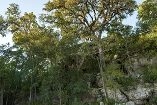 275 Indian Trail, Wimberley, TX 78676 - Photo 31