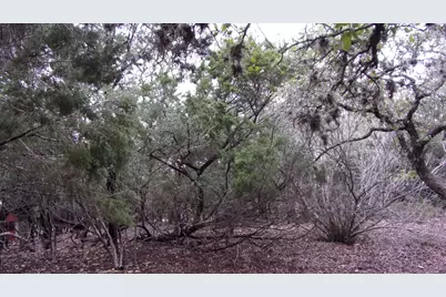 Lot 46 Mountain Wood, Canyon Lake, TX 78133 - Photo 5