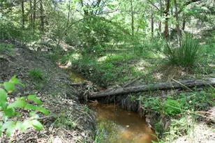 1035 Old Sayers Rd, Elgin, TX 78621 - Photo 5