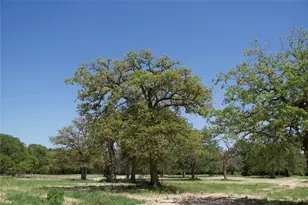 1035 Old Sayers Rd, Elgin, TX 78621 - Photo 9