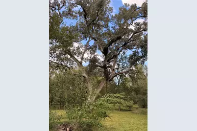 14221 Blidel Road, Richmond, TX 77469 - Photo 7