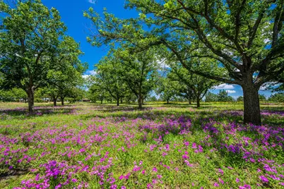 283 Hallford, Fredericksburg, TX 78624 - Photo 35