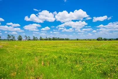 283 Hallford, Fredericksburg, TX 78624 - Photo 33