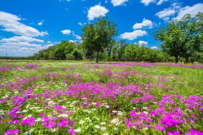 283 Hallford, Fredericksburg, TX 78624 - Photo 29