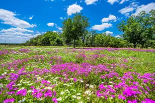283 Hallford, Fredericksburg, TX 78624 - Photo 29