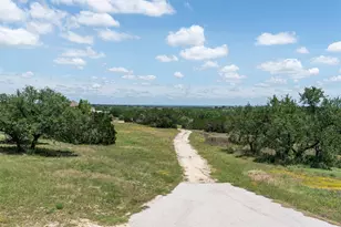 8322 Sharl Cove, Austin, TX 78737 - Photo 39
