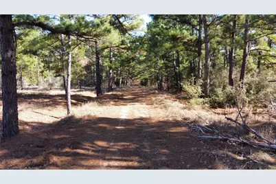 0 Pine Lodge Drive Lot 26, Bastrop, TX 78602 - Photo 7