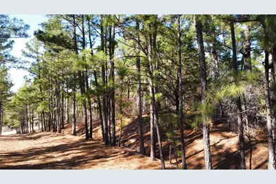 0 Pine Lodge Drive Lot 26, Bastrop, TX 78602 - Photo 3