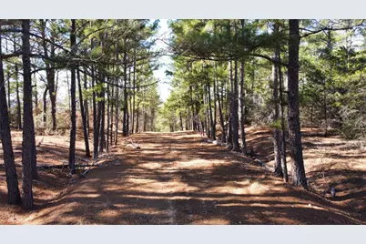 0 Pine Lodge Drive Lot 26, Bastrop, TX 78602 - Photo 5